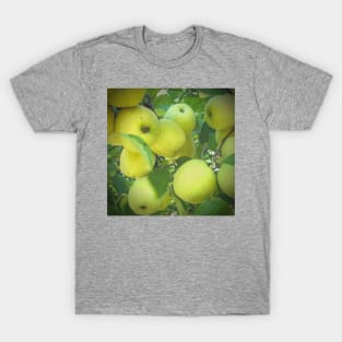 Golden Delicious Apple Harvest T-Shirt